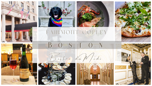 Boston: A Day With Your Dog