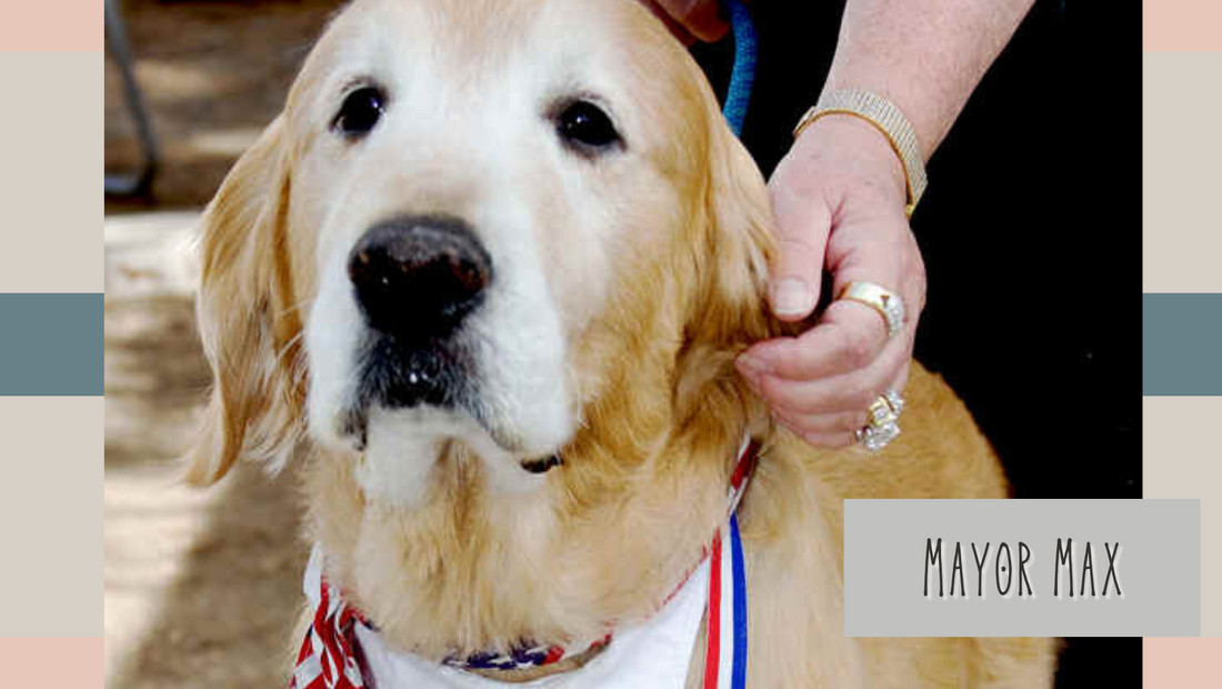 Meet Max, the Canine Mayor of Idyllwild, California