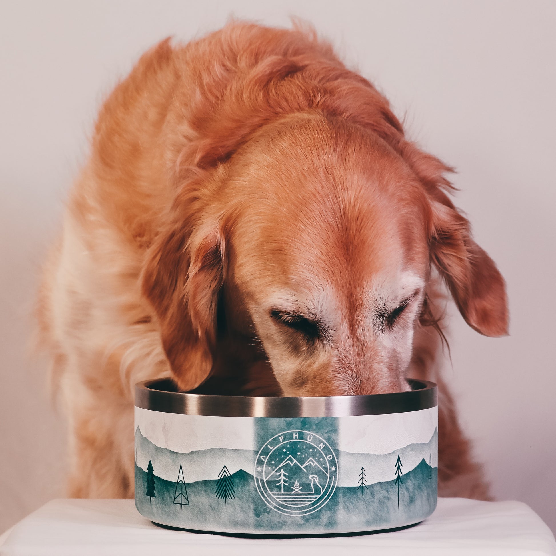 AlpHünd Designer Stainless Steel Dog Bowl. Insulated and Durable. Easy Clean. Pet bowl. Dog Bowl. Dog Dish. Dog water bowl. 