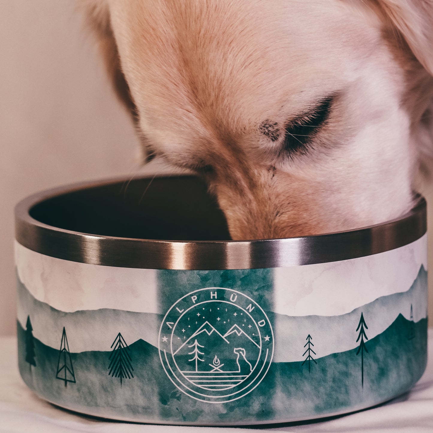 AlpHünd Designer Stainless Steel Dog Bowl. Insulated and Durable. Easy Clean. Pet bowl. Dog Bowl. Dog Dish. Dog water bowl. 