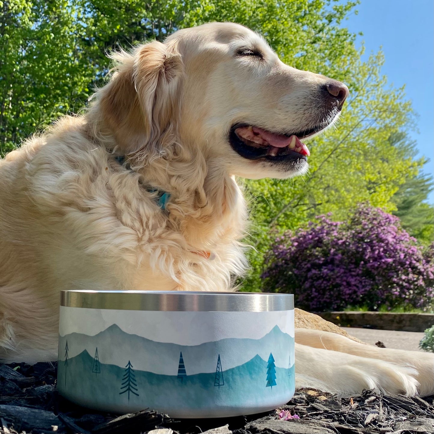 AlpHünd Designer Stainless Steel Dog Bowl. Insulated and Durable. Easy Clean. Pet bowl. Dog Bowl. Dog Dish. Dog water bowl. 